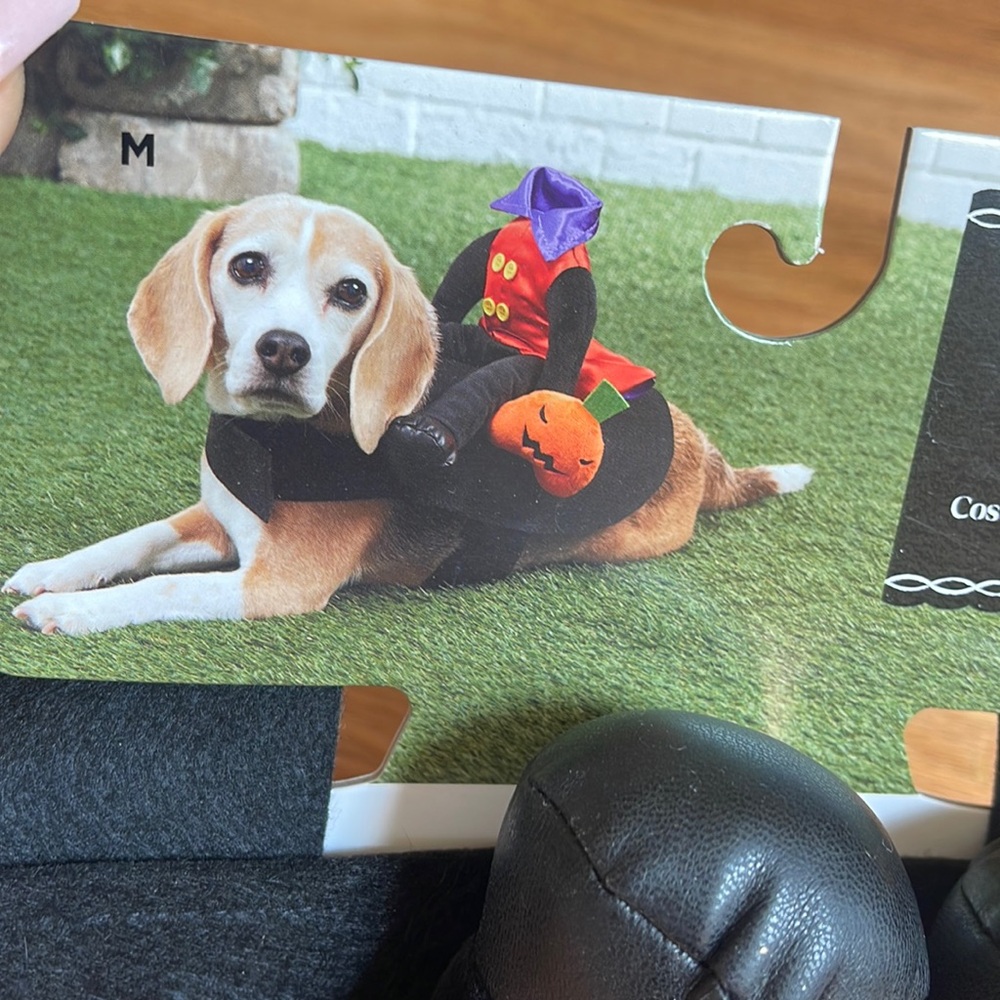 Headless, horseman, pet costume, medium